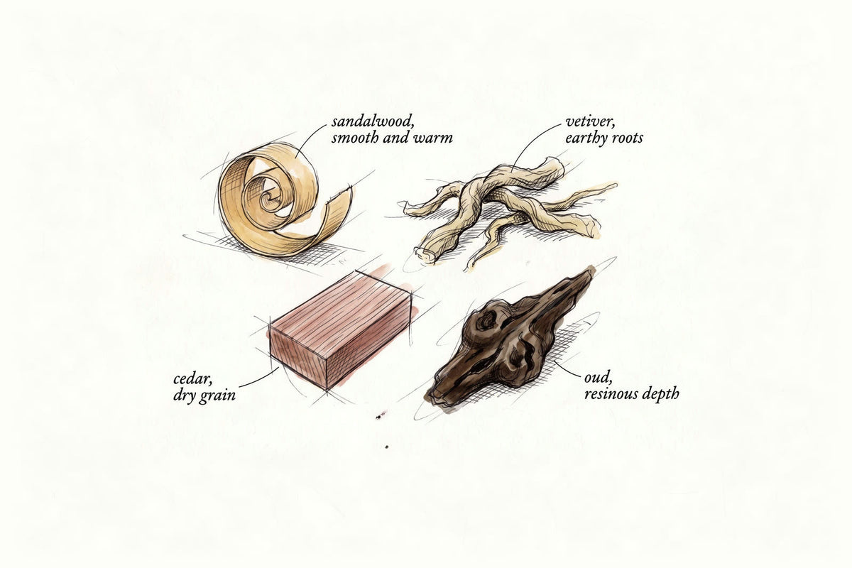 Pen-and-ink and watercolour sketch of four woody materials, labelled: a curl of sandalwood shaving, smooth and warm; a tangle of vetiver roots, earthy; a block of cedar, dry grain; and a dark piece of oud wood, resinous depth.
