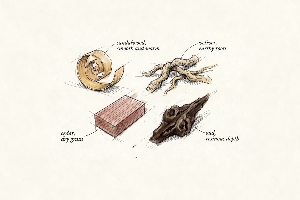 Pen and watercolour sketch of a sandalwood shaving, a cedar block, vetiver roots and a piece of oud wood, each labelled with how it smells